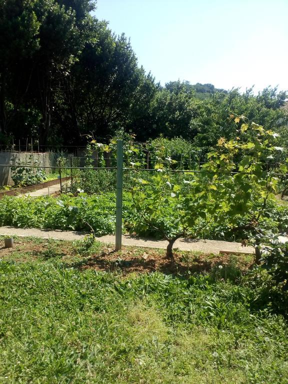 הרצג-נובי Jedro Apartmani מראה חיצוני תמונה